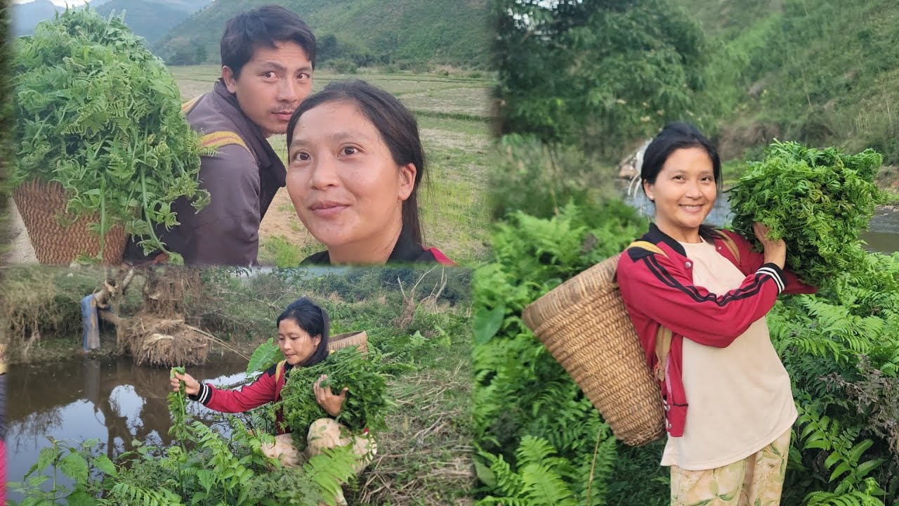 Zeb thiab Nkauj ntxias mus de zaub kaus suab nqa mus 6 nyab kheem lawv noj nram vias nawb