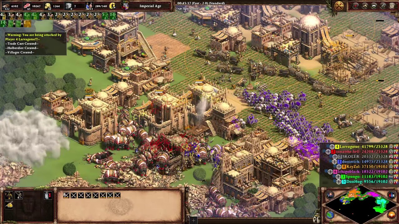 Age of Empires 2 Community forest nothing  games.
