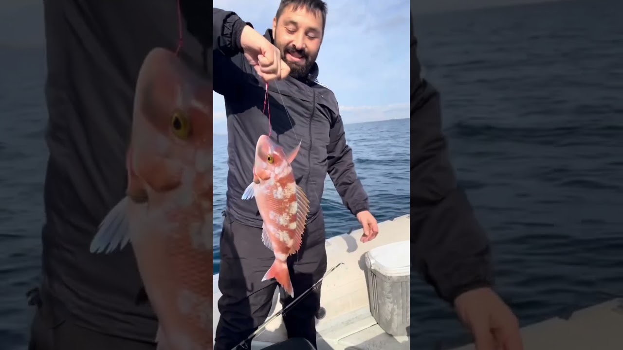 Ψάρεμα στον κόρφο Κορινθίας ￼￼