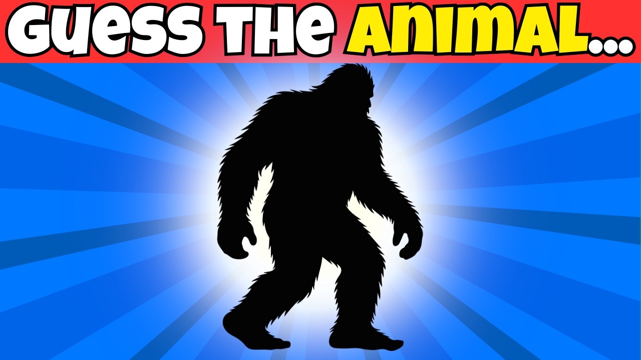 You ARE NOT animal LOVER if you CAN'T get atlest 20 POINTS IN THIS QUIZ!