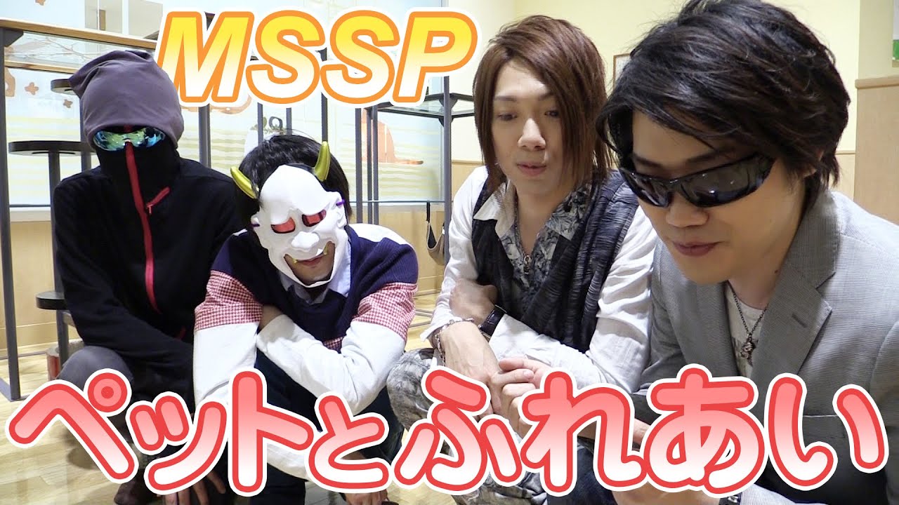【MSSP】ペットショップでネコと戯れてみた　MSSPのオールナイトニッポンｗ#16