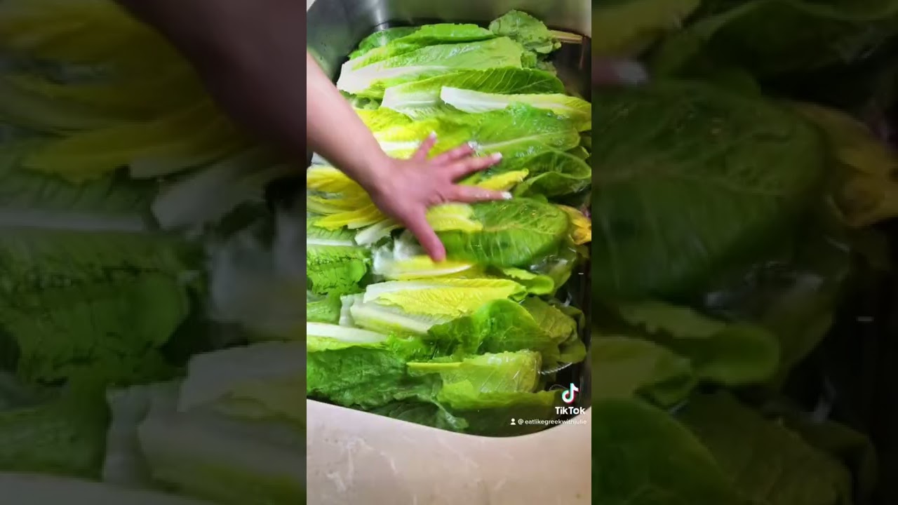 Please wash your lettuce! You won&rsquo;t believe in your eyes out it comes out of it!