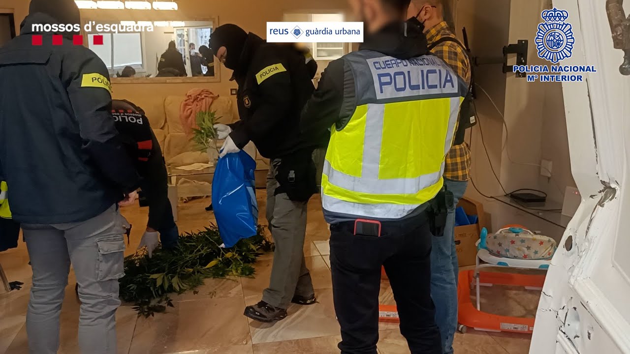 13 detenidos en un macrooperativo policial contra un peligroso clan de la droga en Tarragona