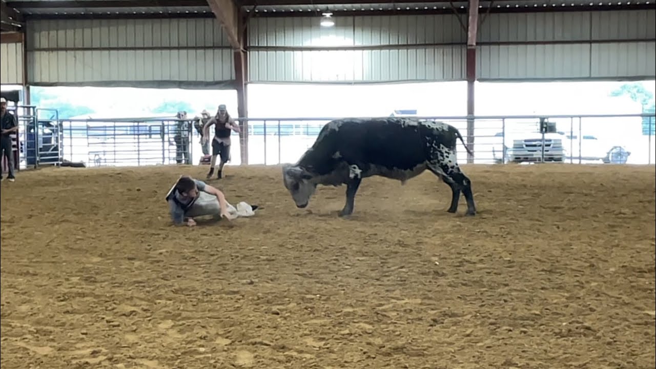 Human Vs Bull