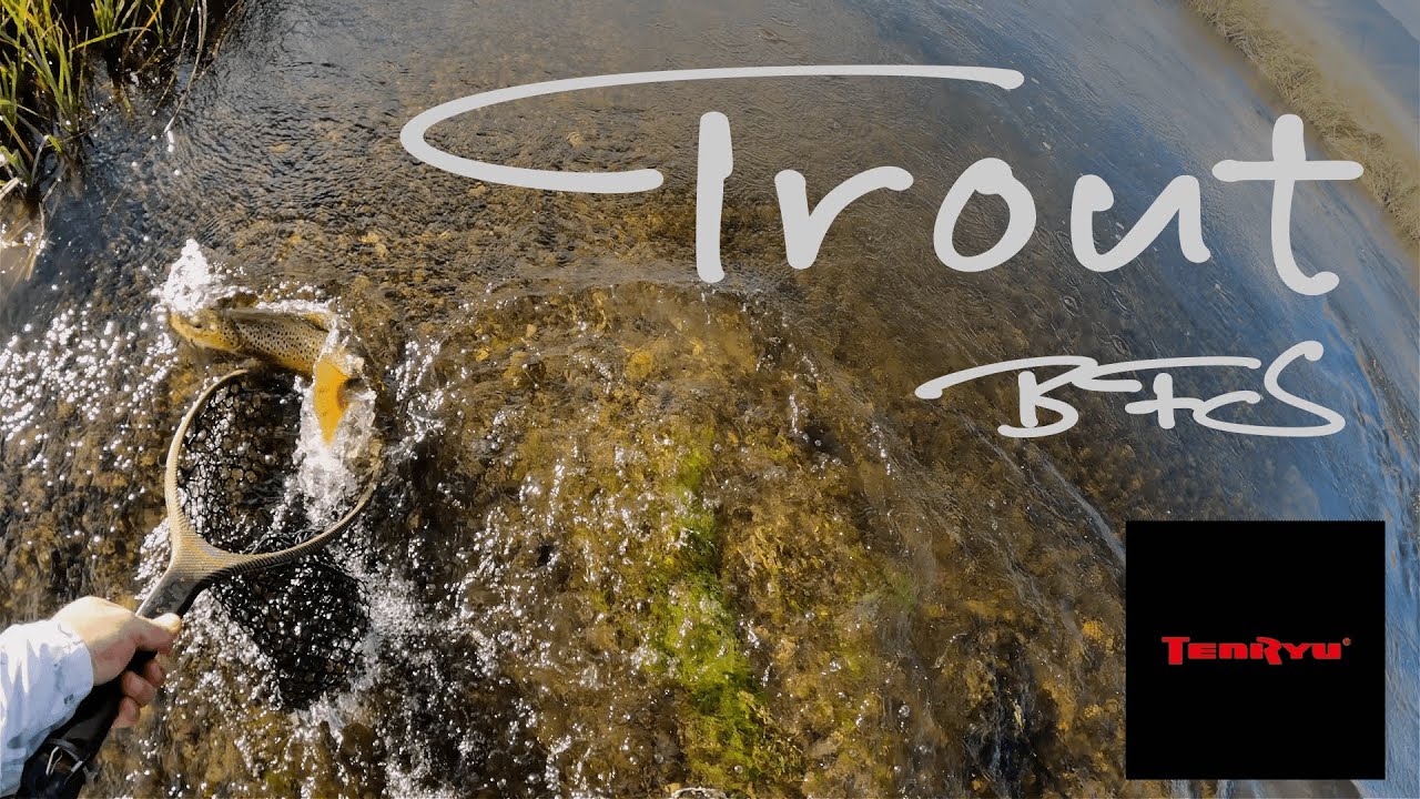 [Trout BFS] Tenryu Speed Stick for Wild Trout *Riddim #troutfishing #trout #barvakopel #fishing