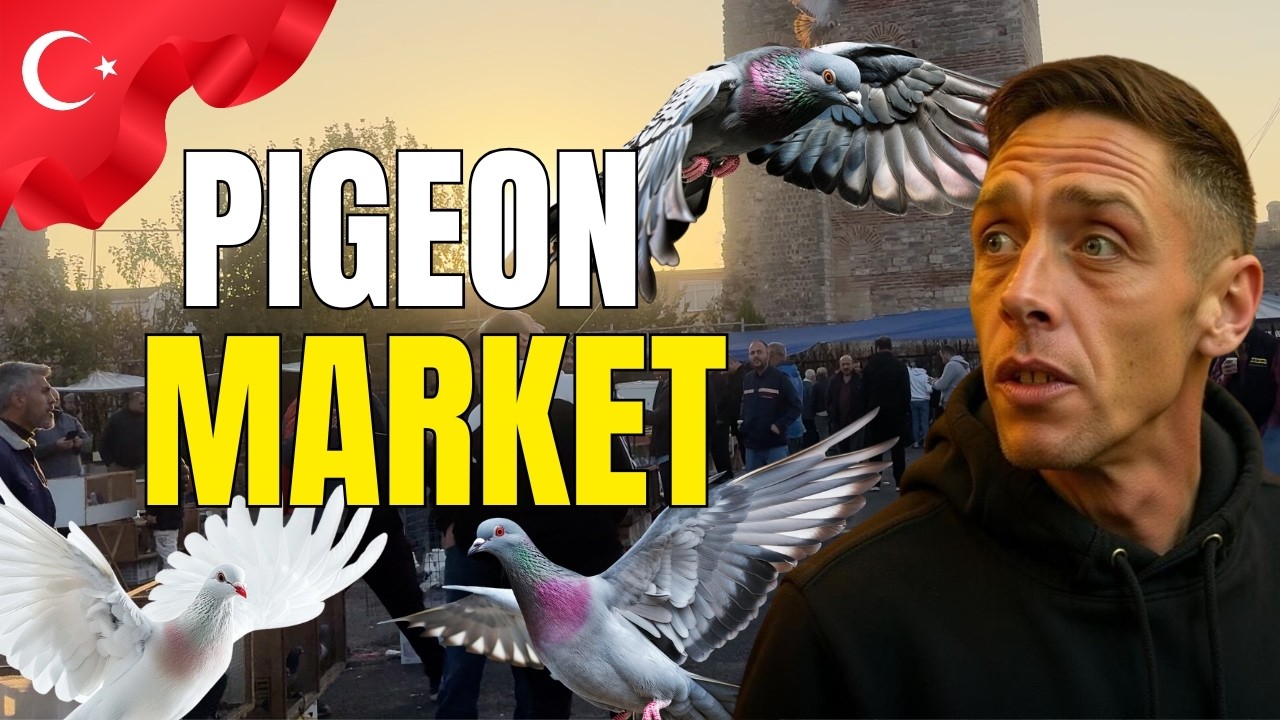 Я посетил СЕКРЕТНЫЙ голубиный рынок в Стамбуле... Это было нечто нереальное