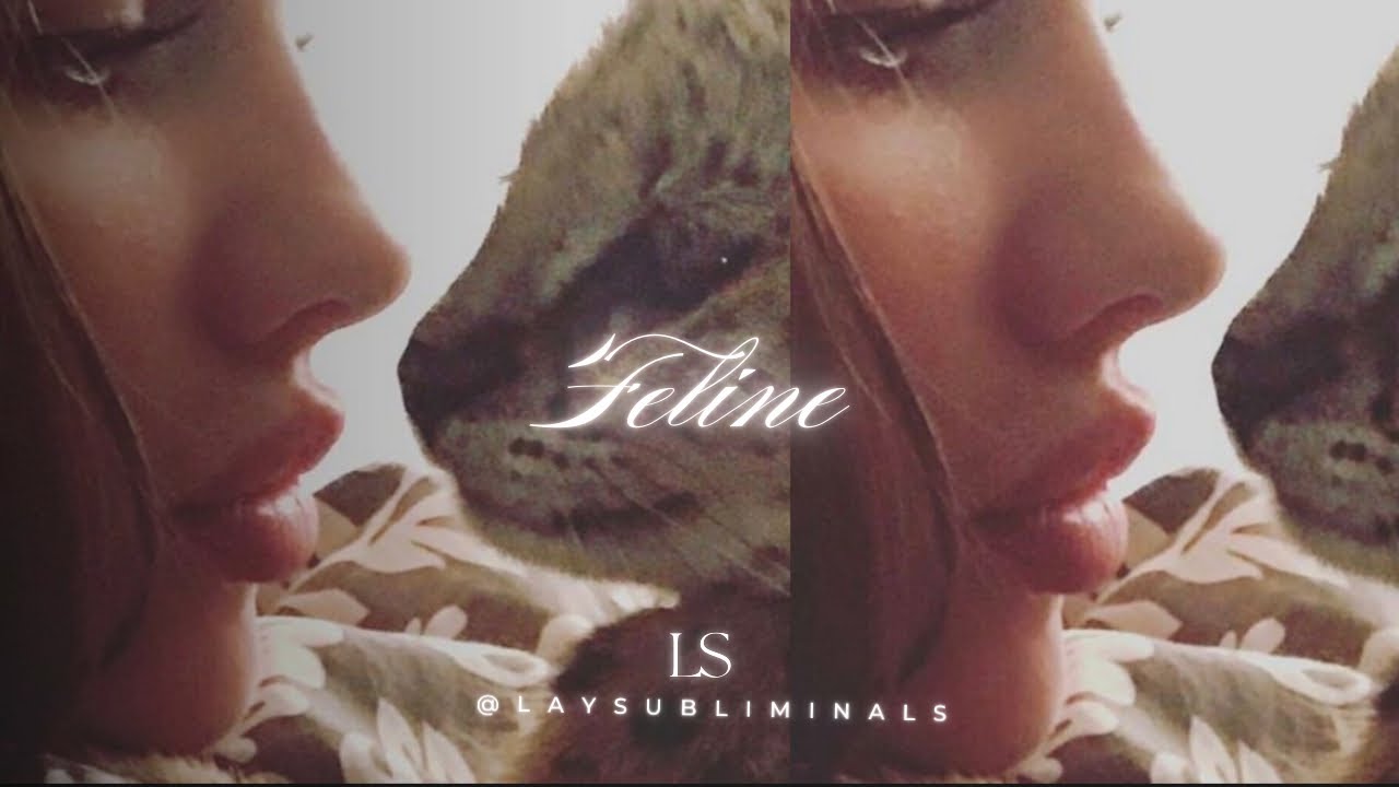 FELINE BEAUTY! naturally lifted and structured features, inspired by the real feline