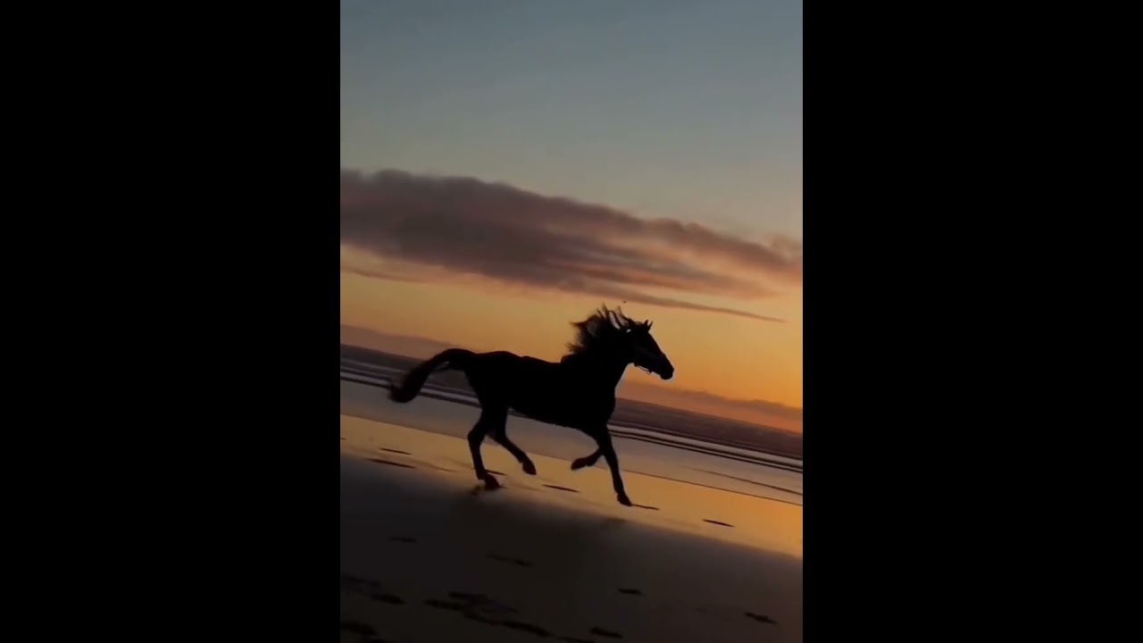 Entering the Year of the Fire Horse Meditation🔥🐎
