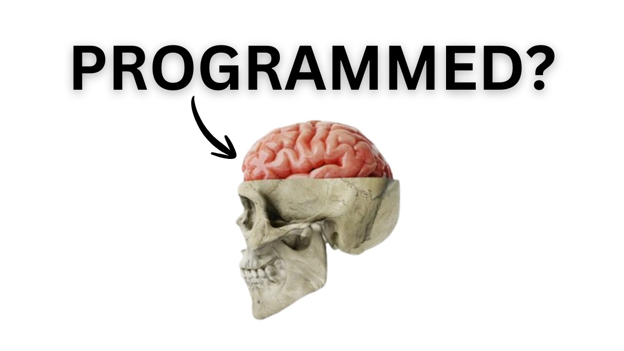 Are we programmed? (only for curious)