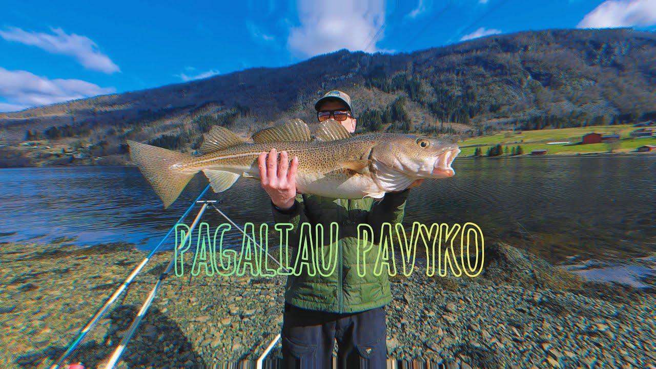 Pagaliauuu sėkminga žuklė