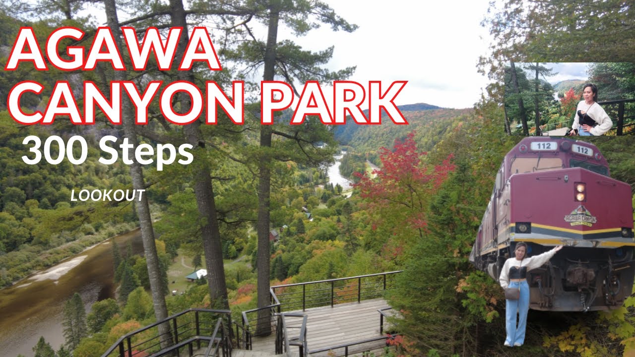 AGAWA CANYON PARK | 300 Steps Lookout Walking Tour #agawacanyonpark #foryou #destination