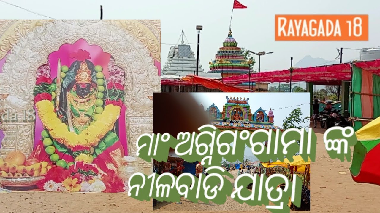 ନୀଳବାଡି ଯାତ୍ରା #ମା ଆଗ୍ନିଗଂଗାମା ଙ୍କ ଯାତ୍ରା #nilabadi, koraput