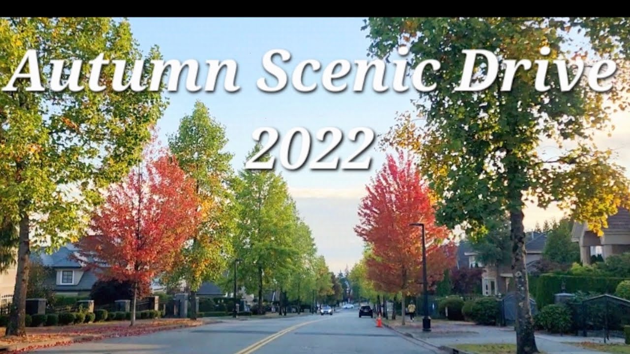 Autumn Scenic Drive in Coquitlam-Burke Mountain-Westwood Plateau#nature #roadtrip #fallcolors
