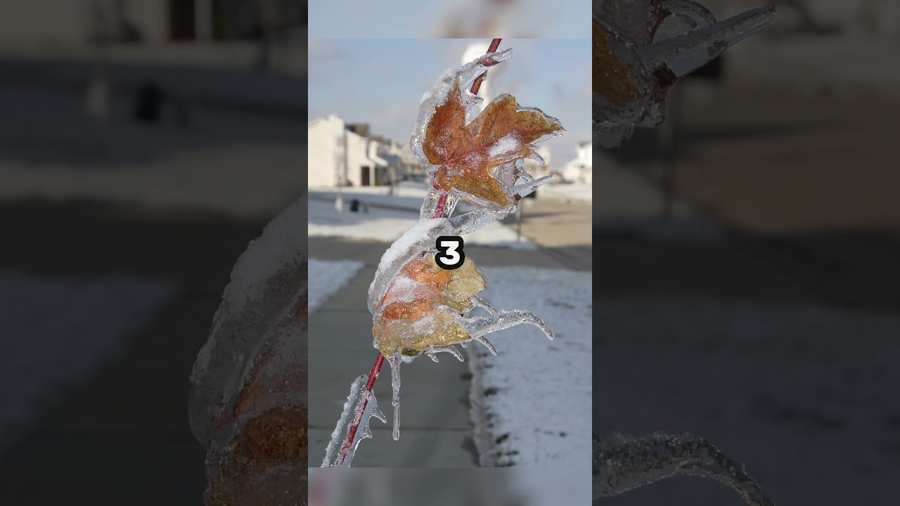 Top 5 najciekawszych wydarzeń z ubiegłego tygodnia!