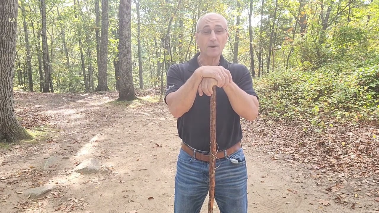 ESPADA Y DAGA Combinations of ARNIS | Filipino Martial Arts | Lorne Therrien