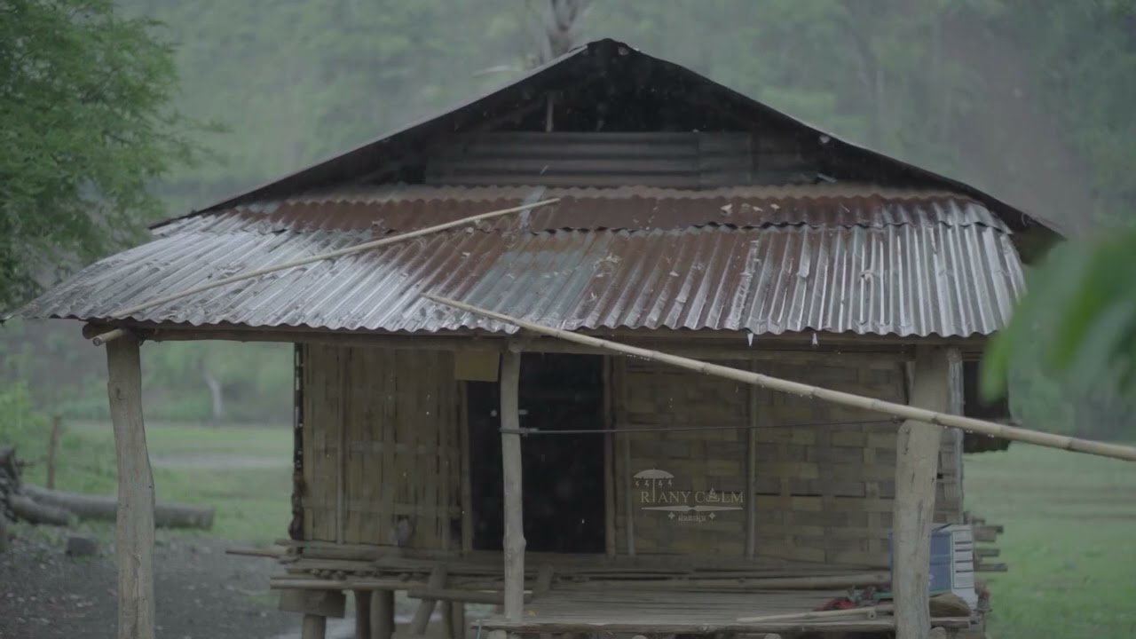 ฝนตกกระทบสังกะสี ในป่า ทำให้หลับสบายผ่อนคลายความกังวลฟัง ยาว 5 ชั่วโมง