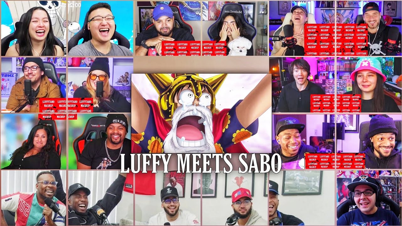 Luffy Meets Sabo Reaction Mashup | One Piece Episode 662-663