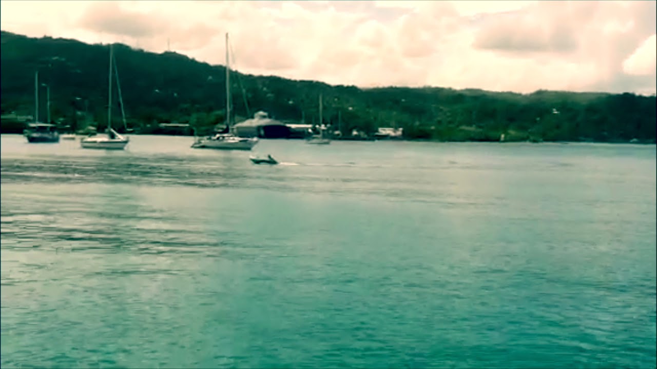 PORT ANTONIO   : PRODUCED  BY JERRY HARRIS Listen Up Records