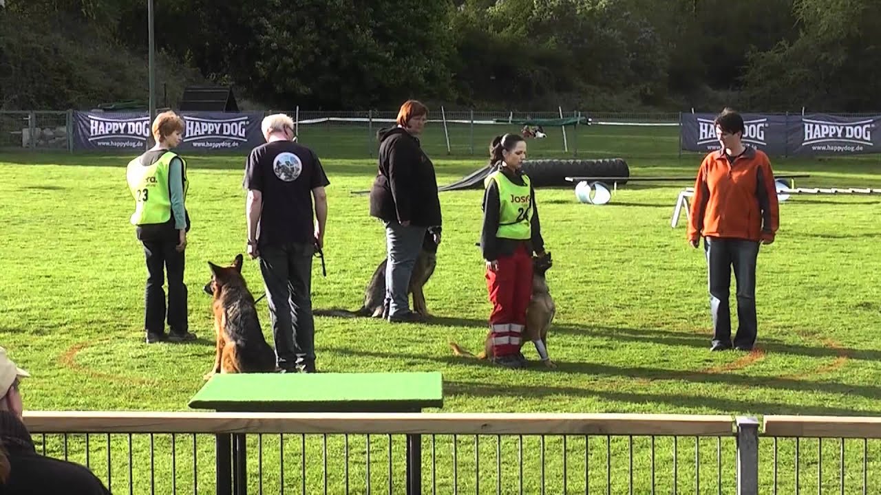 Jaleo vom Herrenberger Schloss - 10 - Deutsche Meisterschaft für Rettungshunde 2012 - Fläche A