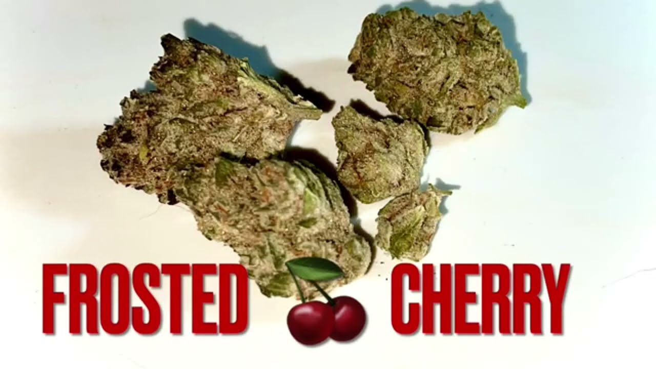 Strain Review  FROSTED CHERRY 20.6% #THC - Potluck #cannabisreviews #420 #ontario #fire