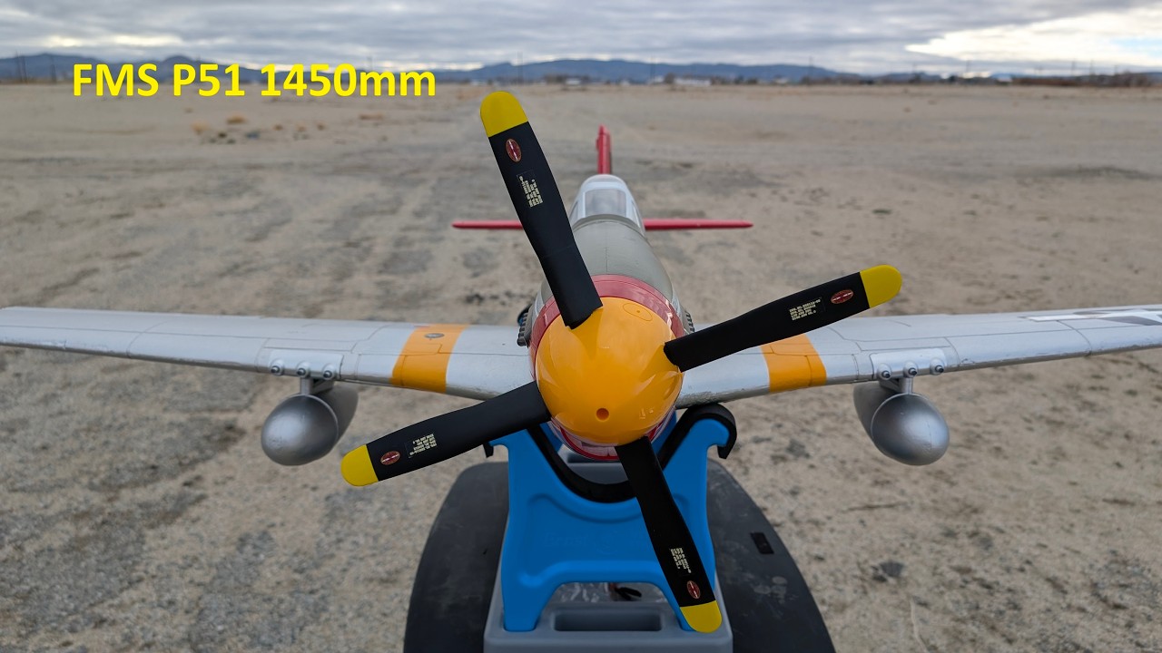 FMS P51  cold morning flights