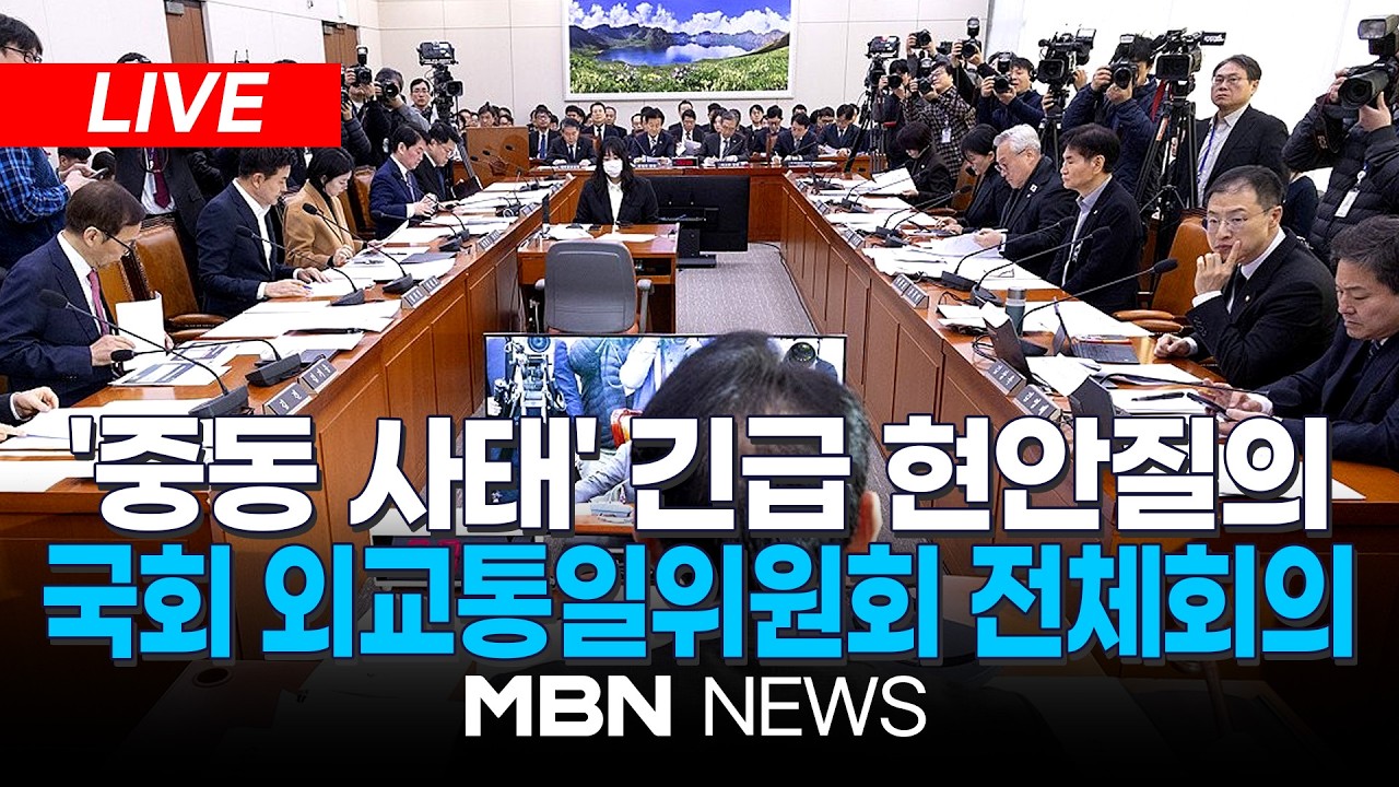 🔴[LIVE] 국회 외통위, '중동 사태' 관련 긴급 현안질의.…美 군함 파견 논의 / 국회 외교통일위원회 전체회의 | MBN NEWS