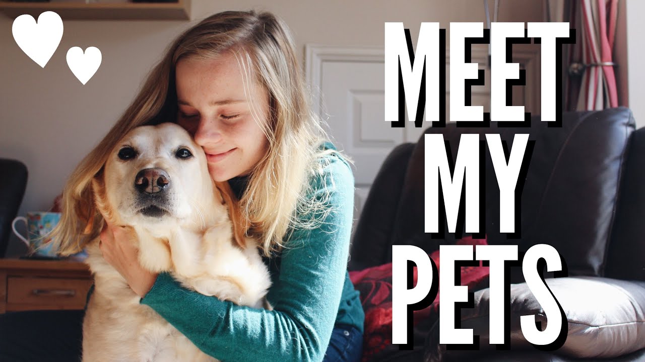 MEET MY PETS | September 2019 | Hannah Cerys