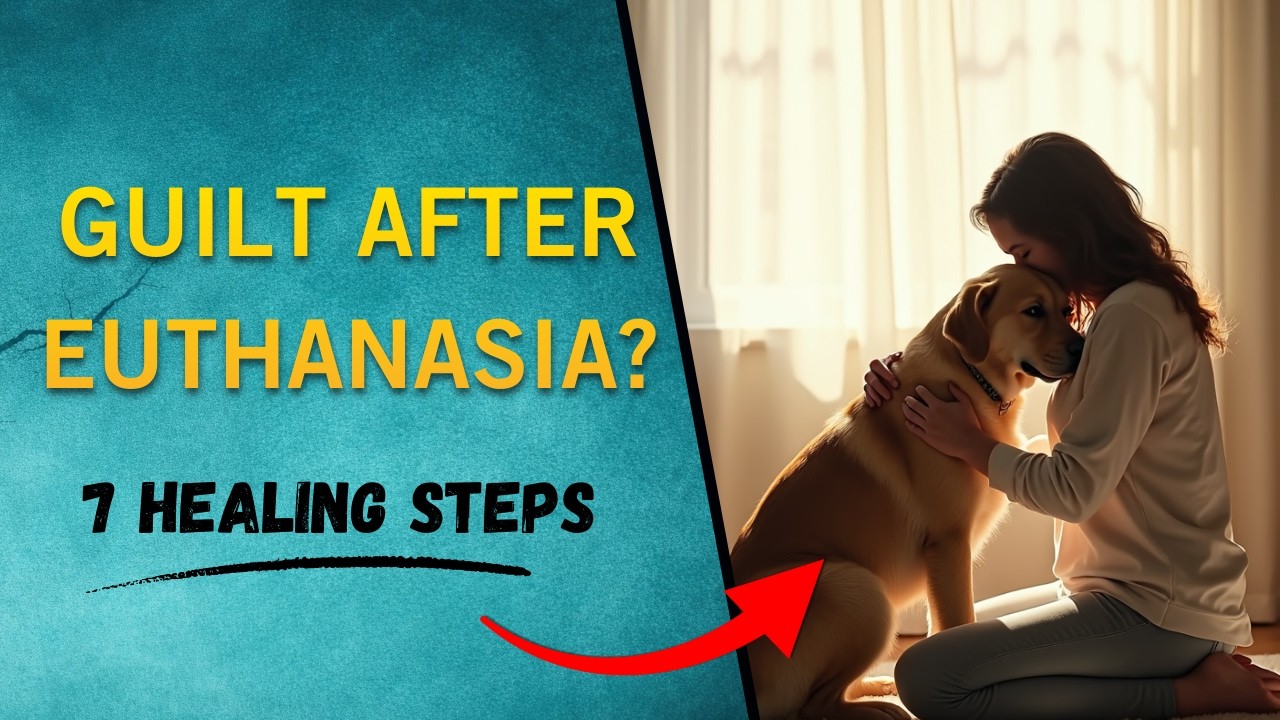 Healing Euthanasia Guilt: 7 Steps to Forgive Yourself