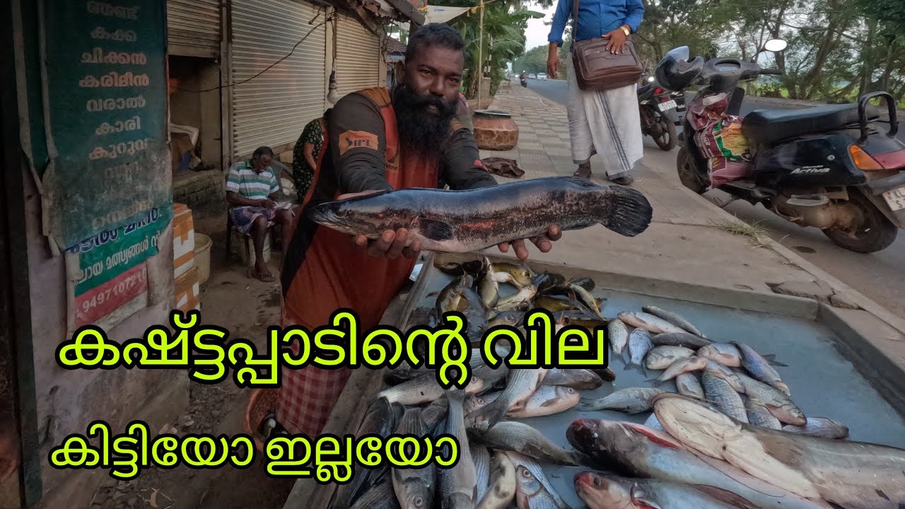 realfishing#kerala #indiafishing #all #kuttanadanfishing #