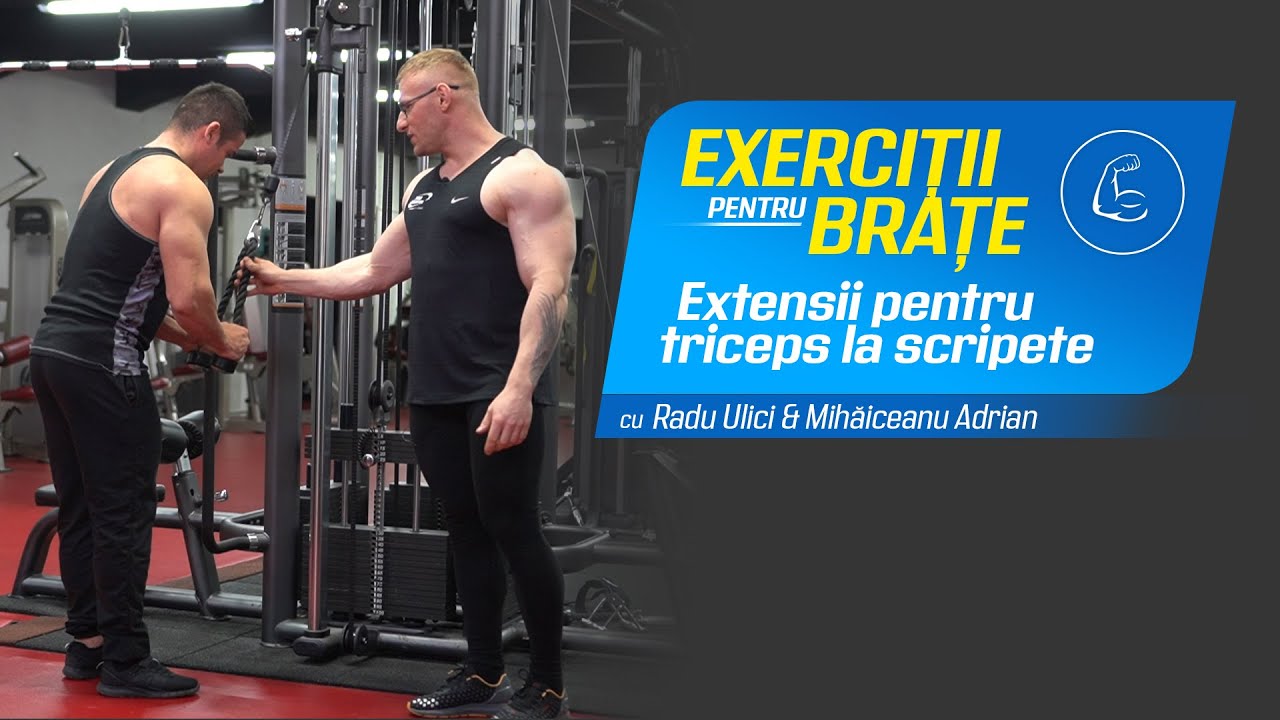 Exerciții pentru brațe 💪 | extensii pentru triceps la scripete » Pro Nutrition