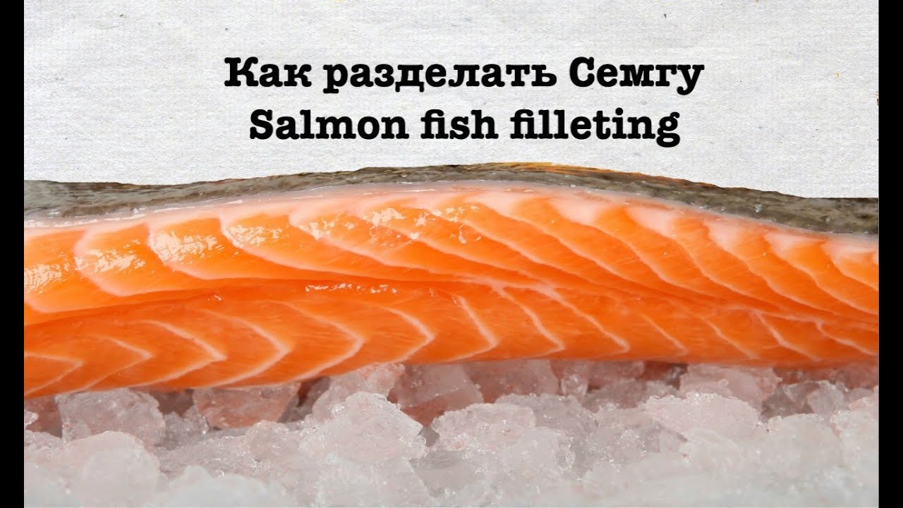 Как разделать Семгу. Мастер-класс по разделке Семги. Fish filleting. How to fillet a Salmon fish