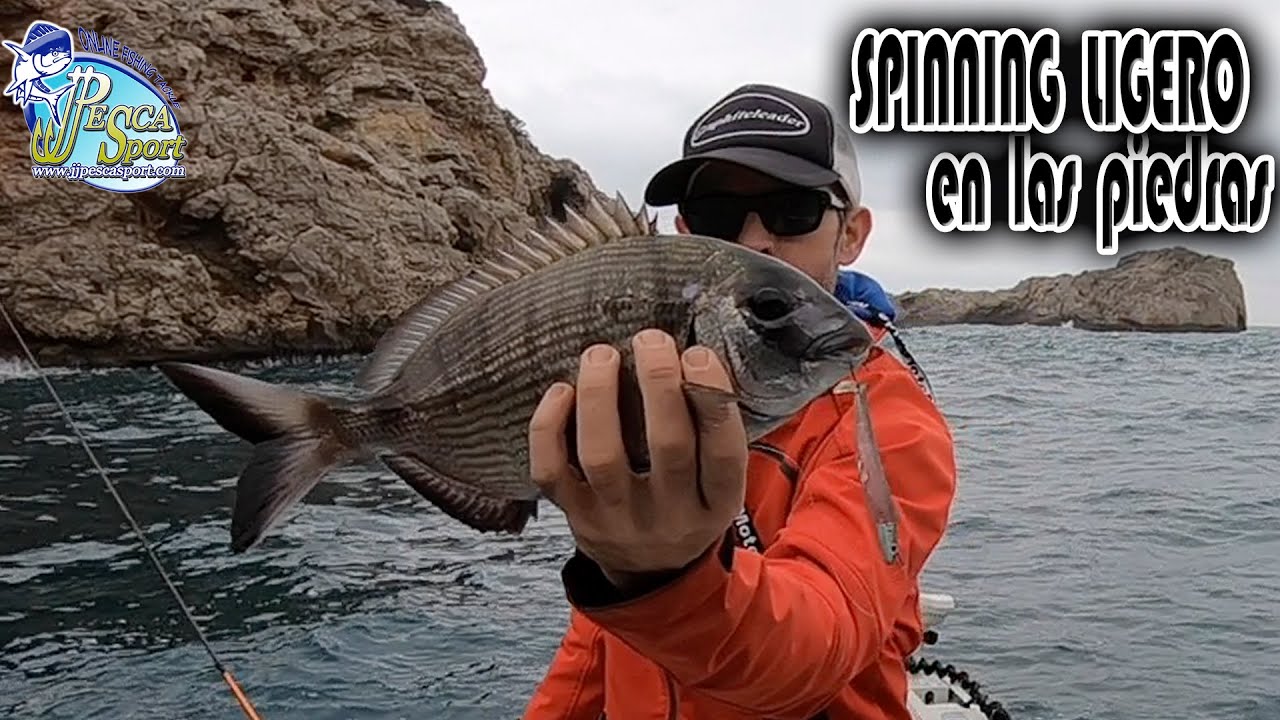 SPINNING  ligero con VINILOS Black Minnow con la GRAPHITELEADER NUOVO TIRO 762L