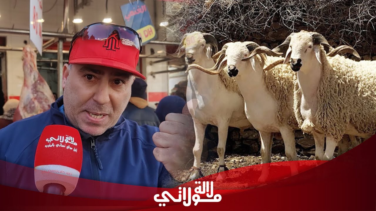 جزار..إلغاء عيد هو درس للشناقة لي محلفين على المواطنين وثمن حولي خاصو طيح اكثر من نص