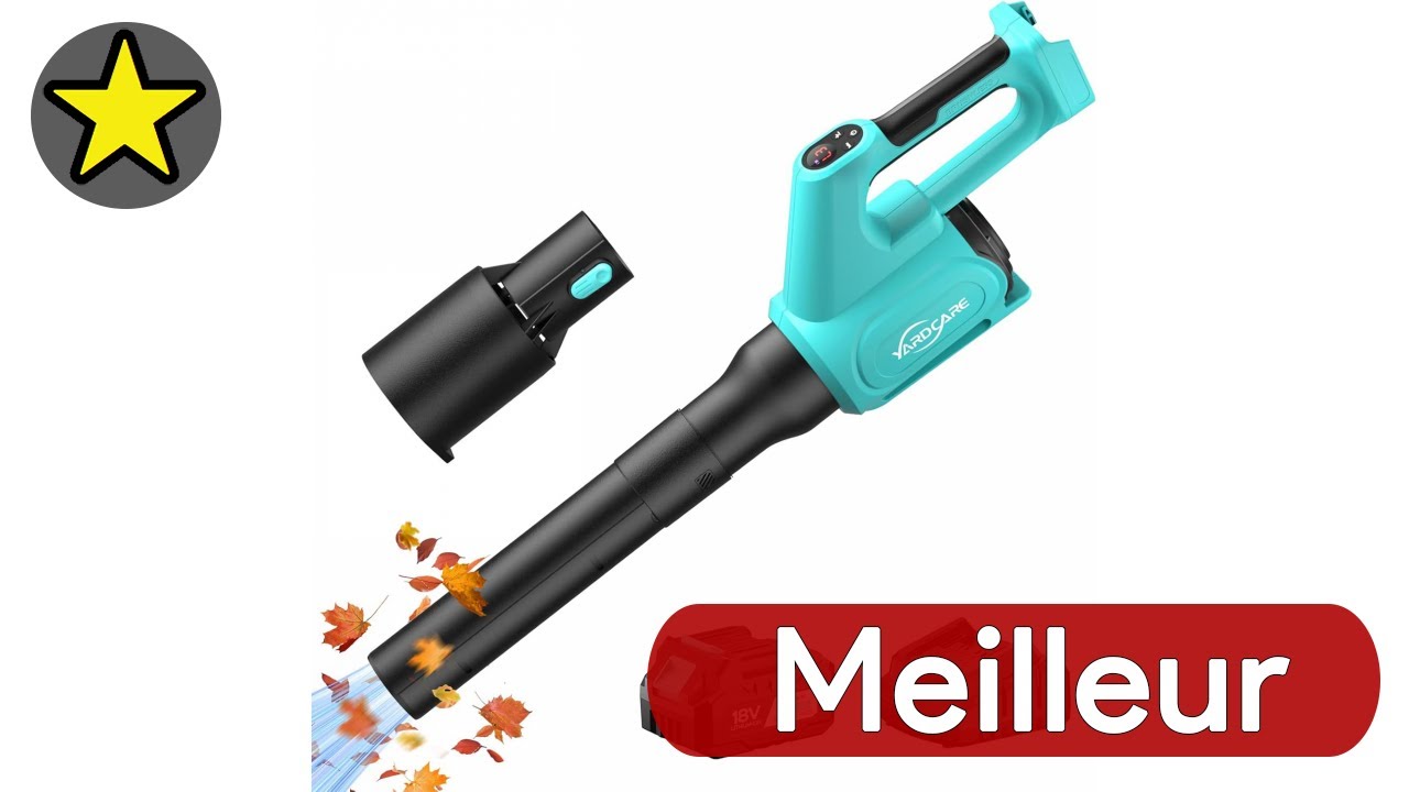 🔴 TOP 3 MEILLEUR SOUFFLEUR A FEUILLES SUR BATTERIE 2025
