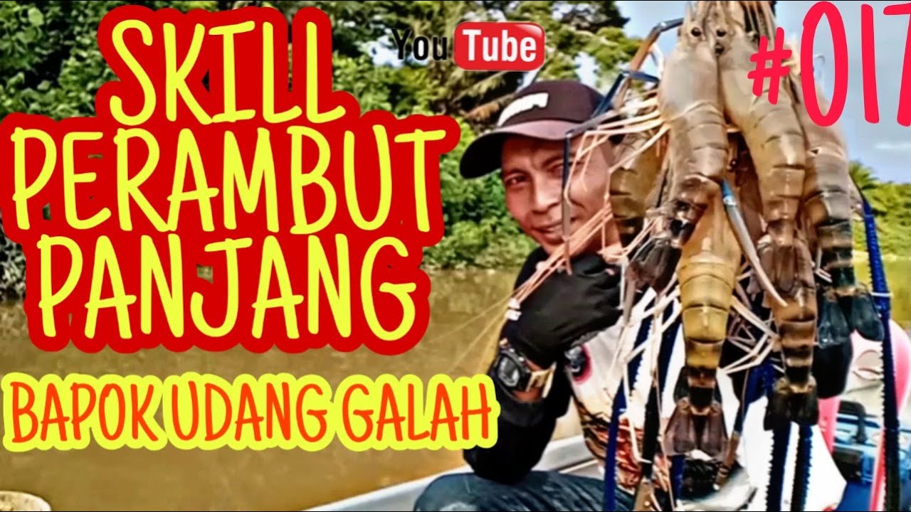 Kenapa perambut mancing udang galah perlu dipanjangkan!!!! Ini sebabnya!!
