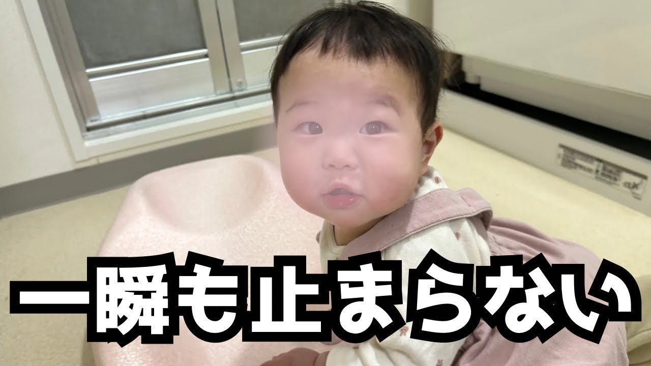 一瞬も止まらない、全部が気になる世界【生後８か月】