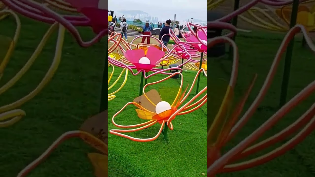 Colorful flower display #shortvideo #viral #trending