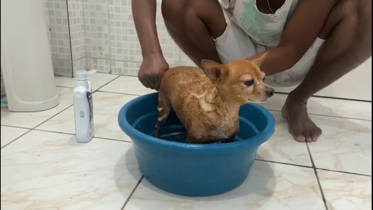 Treta na hora do bainho