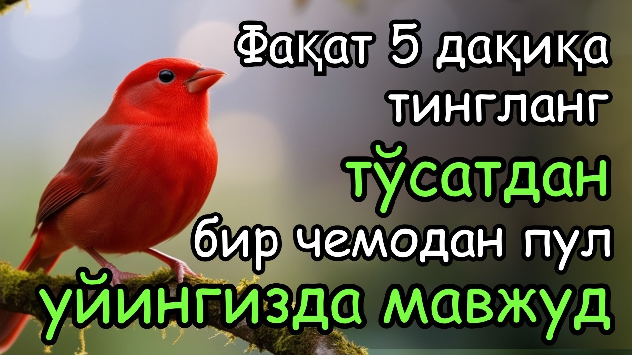 🔴Фақат 1 марта эшитинг , пул сизни ўзидан қидиради! Дунёдаги энг кучли ризқ дуоси!