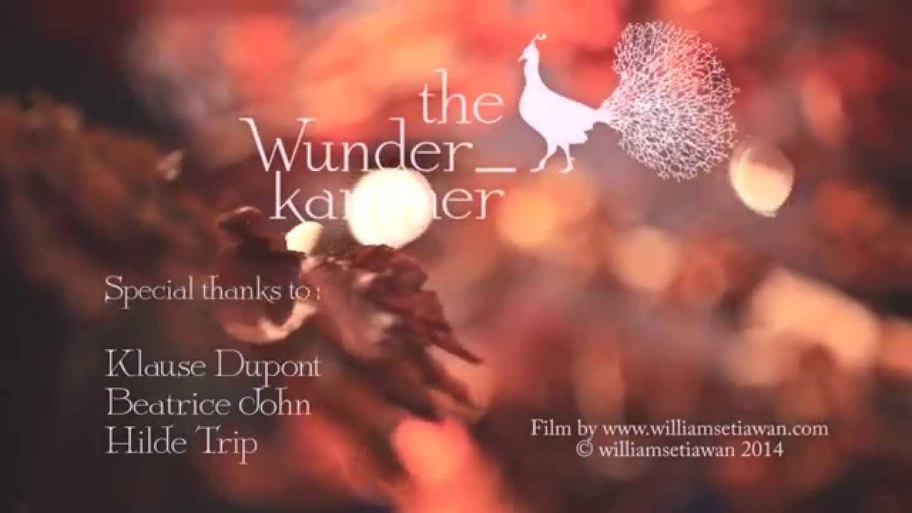 Shop for a Week - Into the Woods by The Wunderkammer