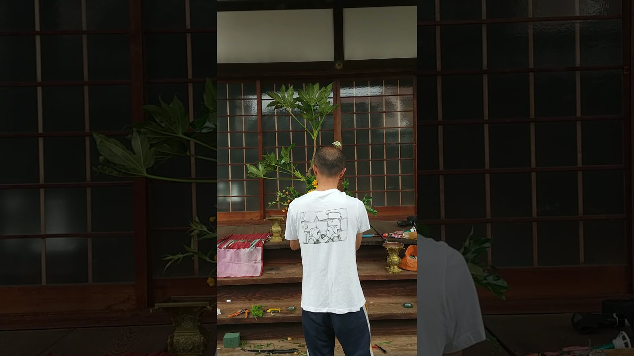 6月の仏華  八手の真