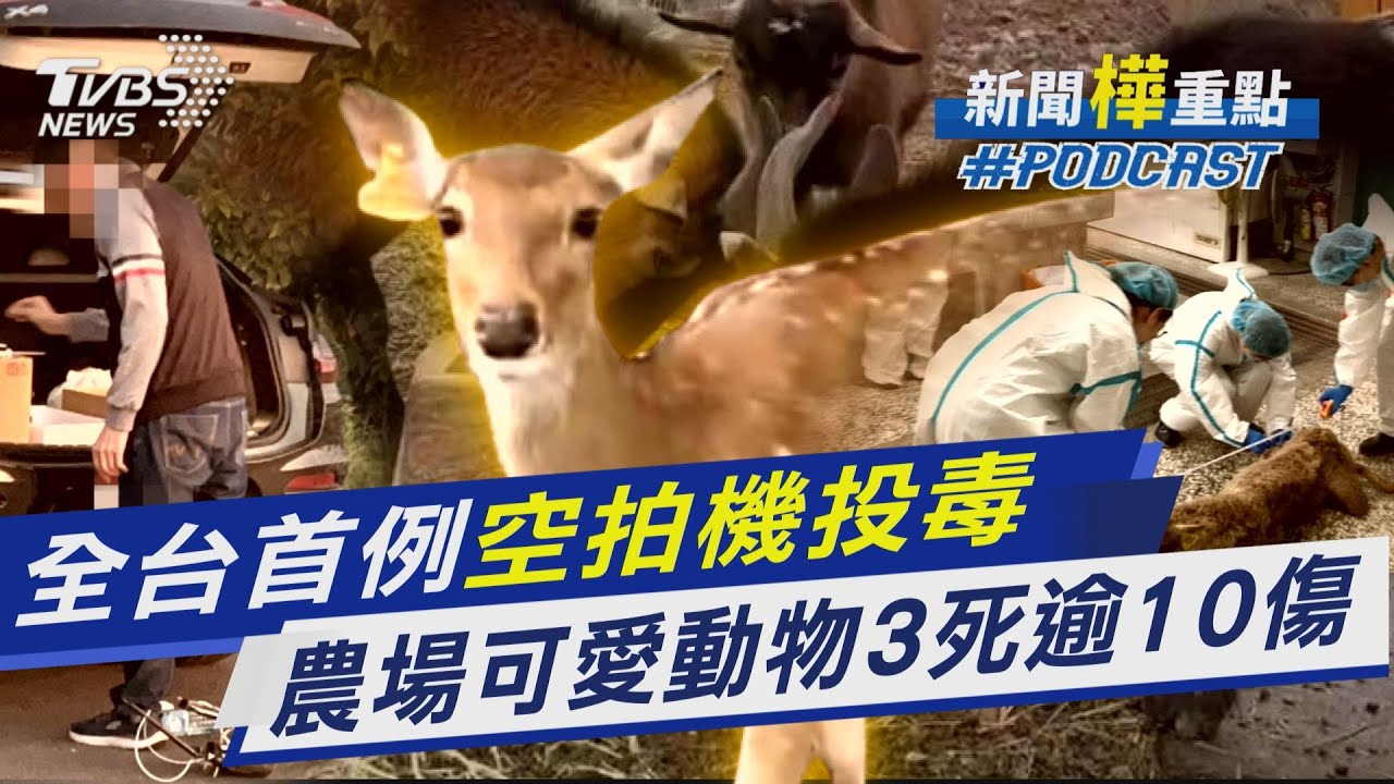 全台首例「空拍機投毒」 農場可愛動物3死逾10傷｜新聞