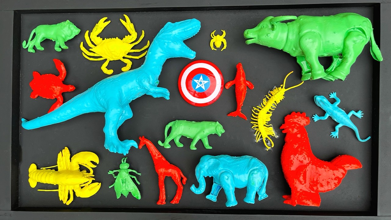 Membersihkan mainan hewan, sapi, bebek, angsa, ayam, gajah, singa, unta, buaya, zebra, kangguru.