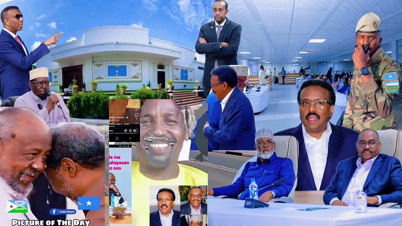 god walaal haqodin kudhici doontaa farmaajo sabir badane xasan shiikh 15 February 2026