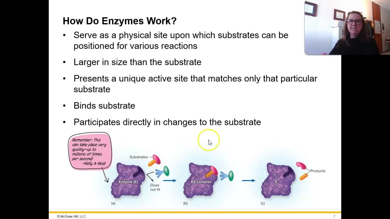 Week 6 - Microbial Metabolism