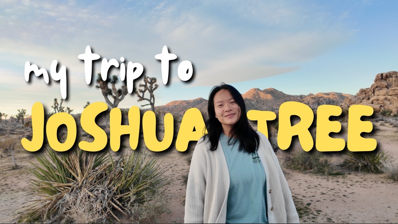 Joshua Tree National Park 🥾🪨 | Travel Vlog