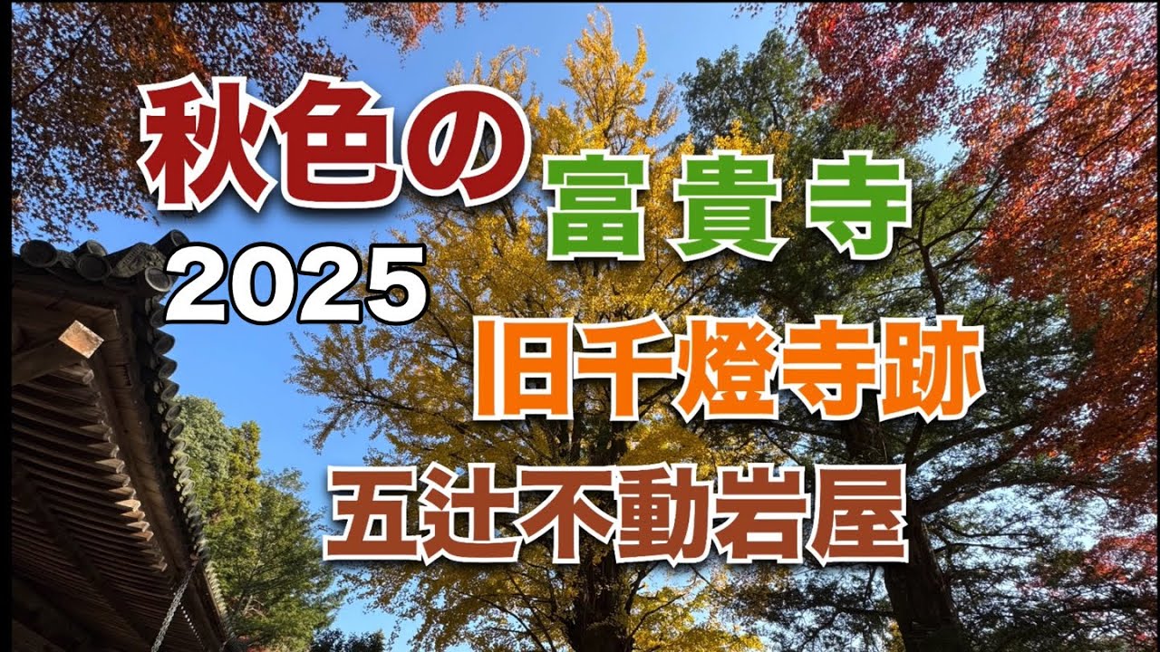 紅葉🍁『秋色の富貴寺､旧千燈寺跡､五辻不動岩屋』2025