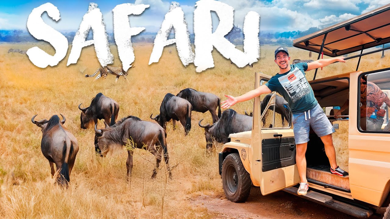 La guida DEFINITIVA per un safari perfetto