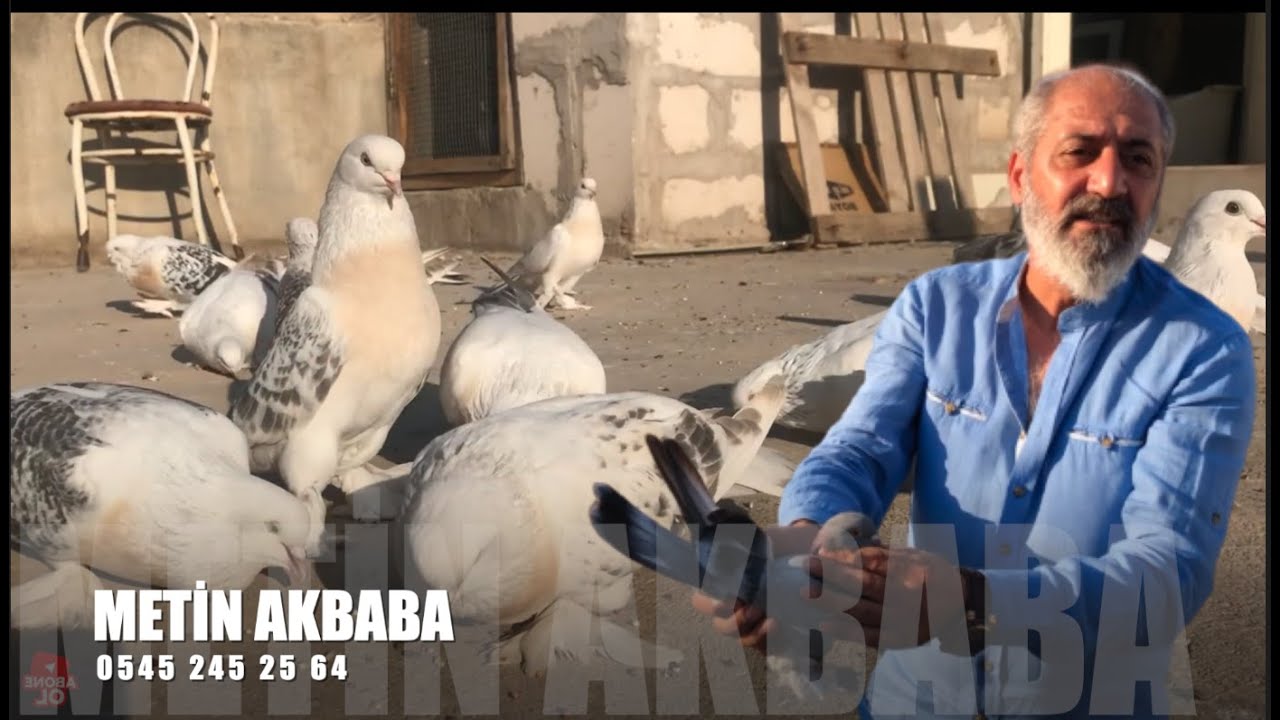 Şebap Güvercin Sohbeti Metin Akbaba (Süslü)