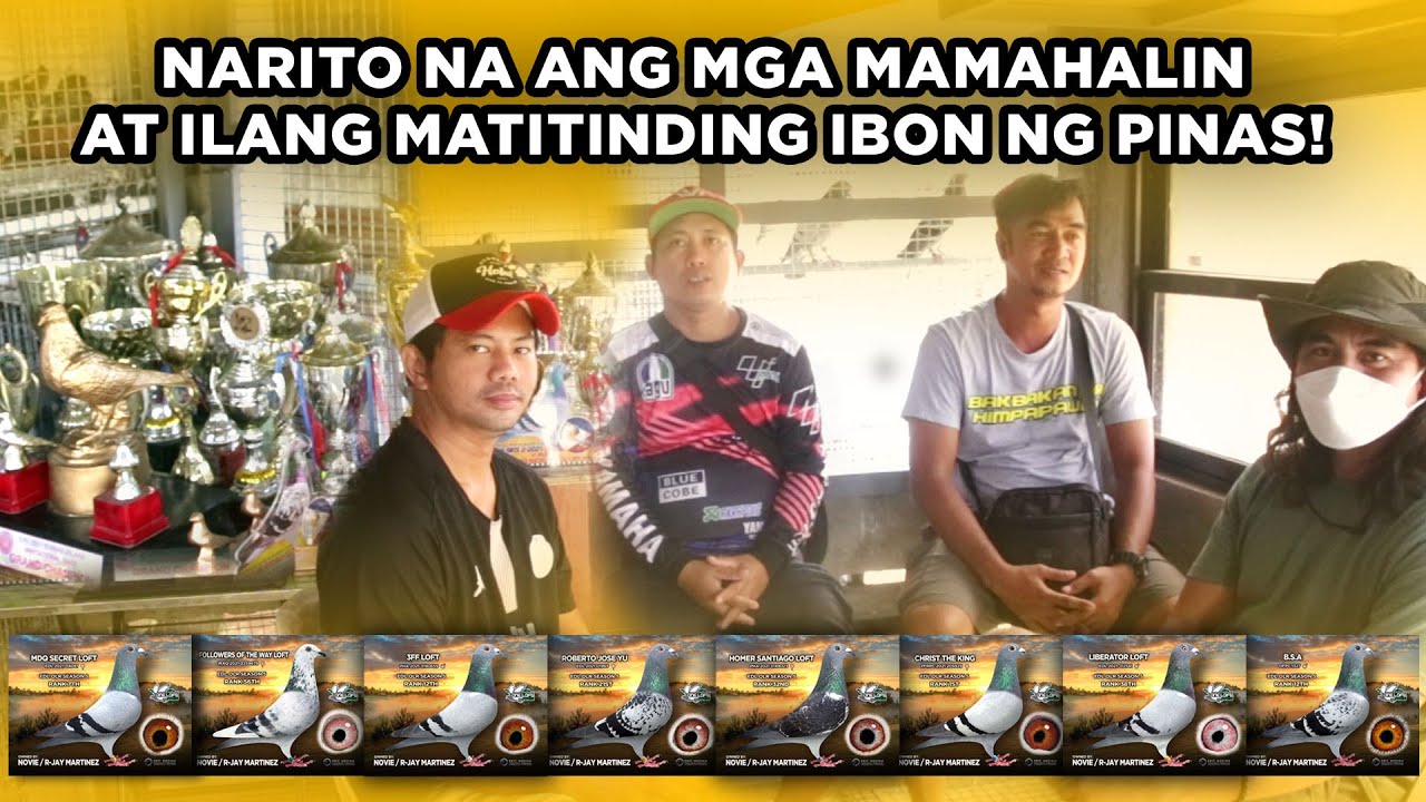 Narito na ang mga mamahalin at ilang Matitinding ibon ng Pinas!